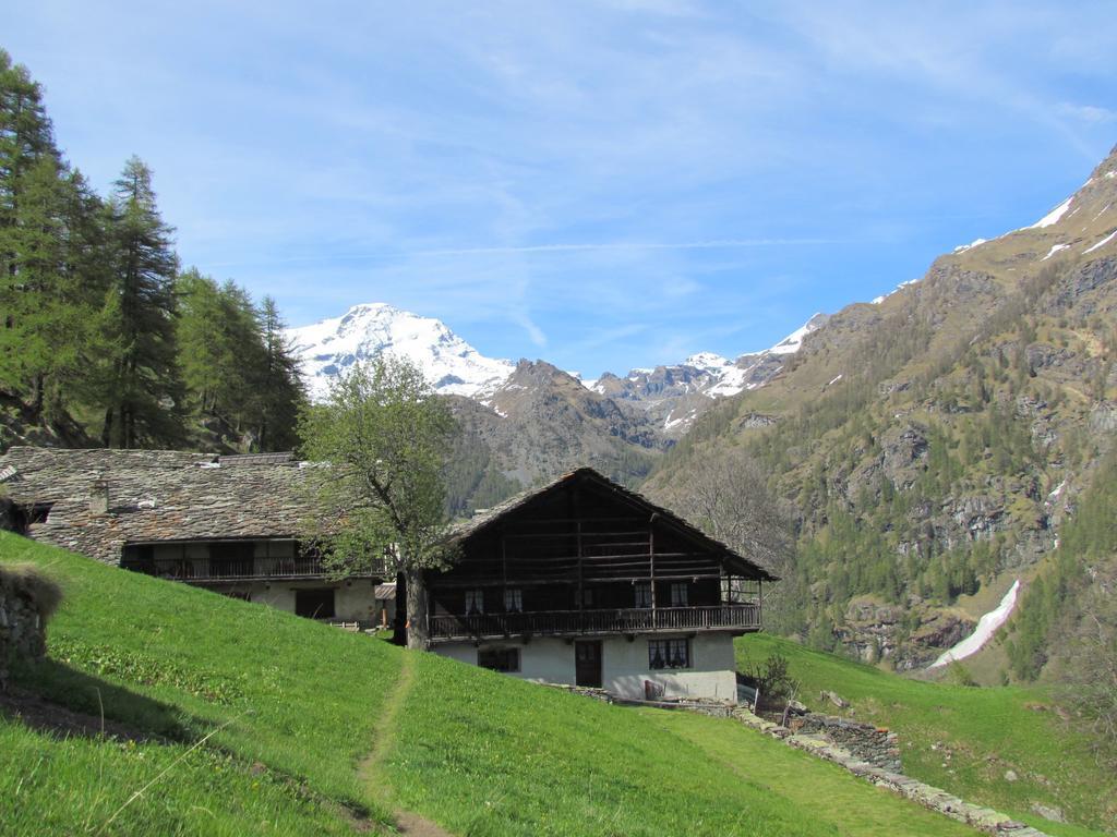 Hotel Lysjoch Gressoney-la-Trinité Exterior foto